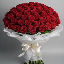 Букет 101 Красная роза Блэк Мэджик в Жирекене