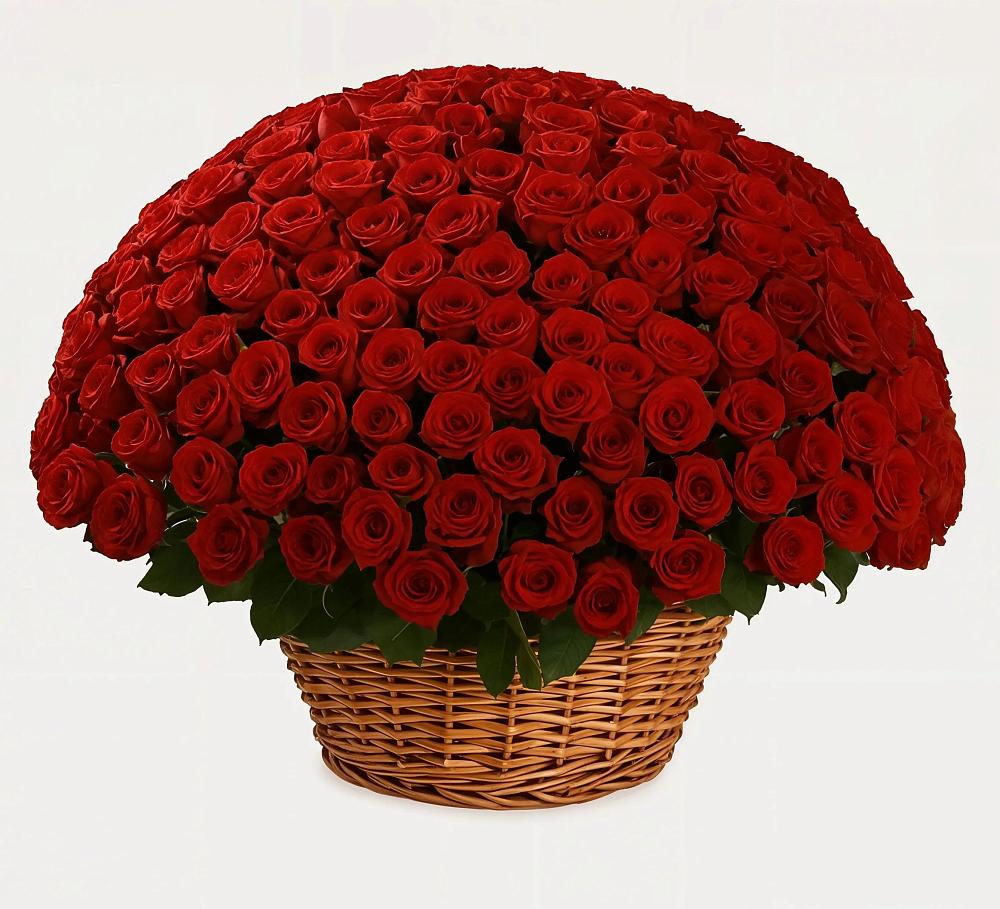 Премиум букет из: Розы в Жирекене